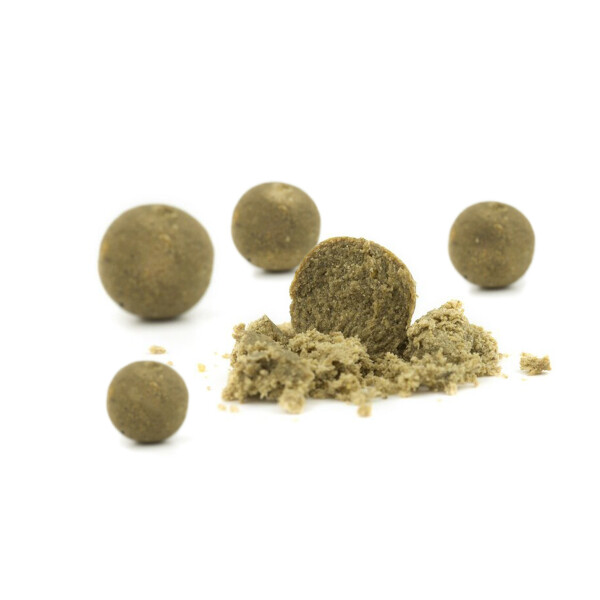 Fertigboilie Nasty Shrimp Mixed Pack 10kg