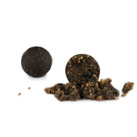 Fertigboilie Holli Liver 24mm 5kg