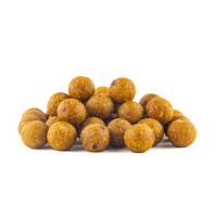 Base X Spice Durchmesser: 24mm, Gewicht: 10Kg