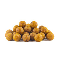 Base X Spice Durchmesser: 24mm, Gewicht: 50Kg