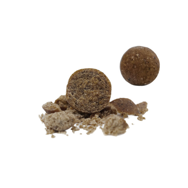 Freezer VNX+ Winter Edition