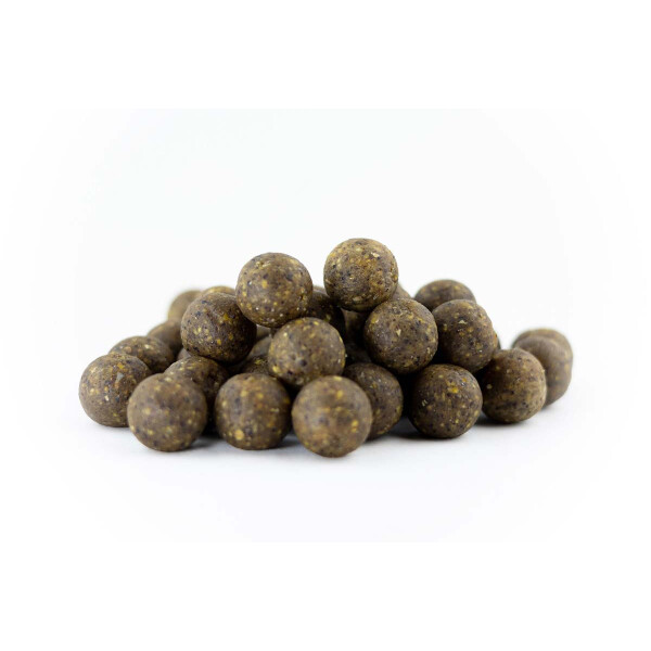 Base X Fisch Hell 30mm 30kg