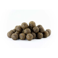 Base X Fisch Hell 30mm 30kg